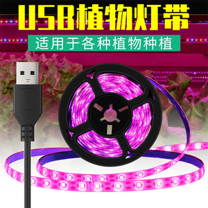 发光二极管全光谱5V USB生长灯条2835发光二极管植物温室水培生长0.5M 1M 2M 3M 4M 5M - Product Image 4