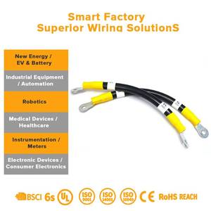 Maßgefertigter Hochspannungs-Kabelbaum für Elektrofahrzeuge mit PBT-BMS-Kommunikations-Gummidichtung für EV-Computer und Motorräder - Product Image 3