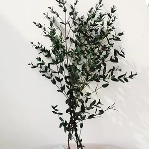 SumFlora Minimalist style natural flower preserved eucalyptus tenuifolia for art nosegay decoration