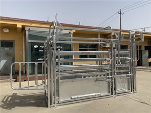 Panel de Compresión para Ganado Galvanizado, Equipo de Manejo de Ganado con Sistema de Pesaje - Product Image 4