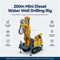 Mini-foreuse diesel compacte de 200 mètres pour puits d'eau, certifiée CE, idéale pour les entrepreneurs et la location