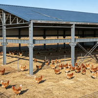 Structure en acier durable résistante au vent, hangar à bétail, abri pour moutons, ferme préfabriquée, bâtiment d'élevage isolé pour animaux