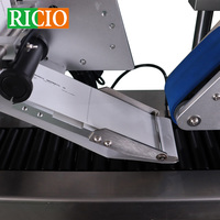 Machine d'étiquetage automatique électrique RICIO à grande vitesse pour bouteilles horizontales, autocollante, pour colle à pesticides