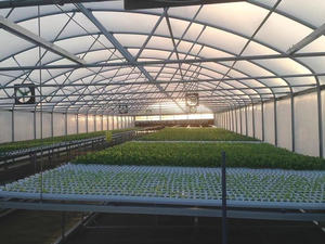 Offre Spéciale serre agricole serre cadre métal horticulture serre tropicale <span class=keywords><strong>prix</strong></span> - Product Image 3