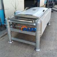 Échaudeuse automatique à godets inclinables pour cailles et pigeons, en acier inoxydable, pour petits oiseaux, avec fonction de plumeuse