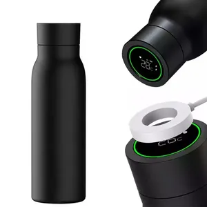 लंबी काली डबल दीवार 600 मिलीलीटर यूएसबी चार्जिंग स्मार्ट रचनात्मक पानी की बोतल को अनुकूलित करें