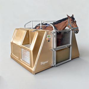 Bigeer Tapis roulant aquatique pour rééducation équestre, en acier inoxydable, autoportant, avec spa rectangulaire pour bain relaxant - Product Image 3