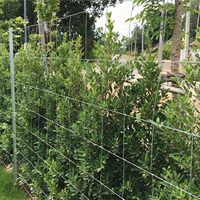 <strong>Best</strong> Quality Heavy Crimped Galvanized <strong>Stainless</strong> <strong>Steel</strong> Square Mesh <strong>Wire</strong> Bending Fence for Goat Cattle Farm with Posts