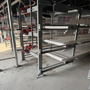 <span class=keywords><strong>Cage</strong></span> automatique à énergie solaire pour poules pondeuses pour ferme avicole Conception de <span class=keywords><strong>cage</strong></span> pour animaux à piles au Ghana - Product Image 3