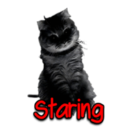 Autocollant de voiture de logo de chaton personnalisable de haute qualité conception de diamant résistant aux rayures pour la carrosserie de voiture