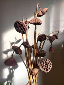 Boccioli di Loto Essiccati di Alta Qualità, <span class=keywords><strong>Fiori</strong></span> Personalizzati dello Stile Zen per Decorazioni Domestiche, Matrimoni e Ghirlande Natalizie in Vari Stili Cinesi - Product Image 2