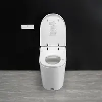 एम: DB80 स्मार्ट शौचालय बुद्धिमान शौचालय उच्च गुणवत्ता चीनी WC शौचालय ऑटो-खुले करीब ढक्कन ऑटो निस्तब्धता