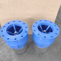Válvula de pie de bomba de agua Válvula de retención de estructura manual práctica
