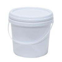 Seau en plastique de 5L, 10L, 15L, 20L, 5 gallons, personnalisable avec logo, pour peinture, essence, engrais – Vente chaude