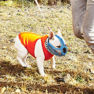 Bozal para Bulldog Francés, Malla de Nailon Azul, Suave y Transpirable, para Entrenamiento, Tallas S, M, L - Product Image 2