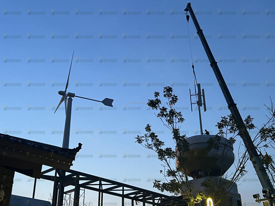 3000w Wind Turbine 1000W 24V 48V 96V Horizontal Axis 48V 5Blades 3000W ...