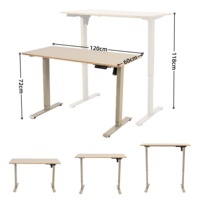 Bureau de jeu électrique ergonomique moderne de haute qualité à hauteur réglable avec étagère et support pour clavier