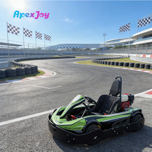 Kart de course électrique RACE Elite - 1000W, alimenté par batterie, pour enfants et adolescents, piste extérieure, usine OEM - Product Image 4