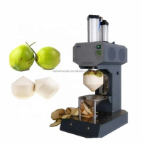 Machine à éplucher et à étiqueter la peau de noix de coco au diamant pour restaurants