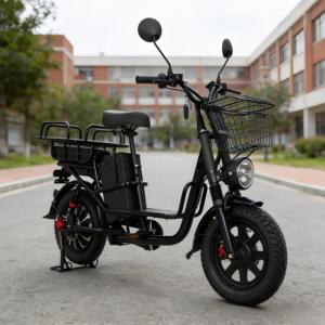 Bicicleta de Neumáticos Anchos con Batería de Litio de Largo Alcance y Entrega Rápida, con Estantes para Adultos - Product Image 2