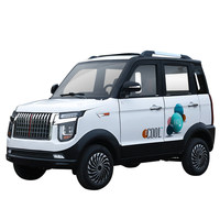 Voiture électrique à quatre roues pour usage domestique, véhicule à énergie nouvelle pour femmes adultes, entièrement fermée, climatisation, 4 portes, 5 places, 1500W