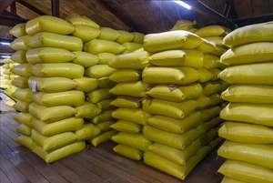 Fertilizante compuesto NPK con elementos traza para alimentación de cultivos de precisión - Product Image 2