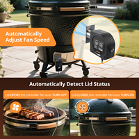 INKBIRD ISC-028BW Contrôleur de température de grill WiFi Bluetooth Ventilateur de fumoir automatique pour grill à bouilloire Grill Kamado Green Egg