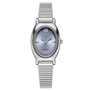 Retro-style high-value women's watch niche and exquisite oval steel strap watch new women's waterproof quartz watch. - Product Image 2