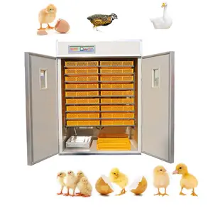 automatic setting 3000 eggs incubator hatchery combined machine HJ-IH3168