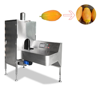 Automatische Fruitschiller Grapefruit Ananas Mango Schilmachine