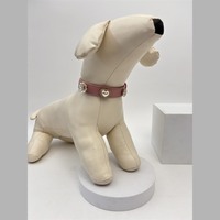 Collier pour chien en cuir pour les promenades quotidiennes et les séances photo avec breloques magnétiques et boucle dorée pour chiens de petite et moyenne taille