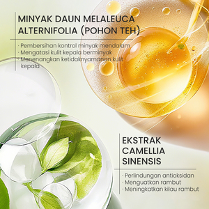 Bpom HALAL KORMESIC 500ml Tea Tree Champú refrescante Venta al por mayor Sampo Nutre y fortalece el cabello Aliviar la grasa del cuero cabelludo - Product Image 3