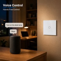 Interrupteur intelligent WiFi Bingoelec EU 1 voie avec panneau tactile en verre, contrôle à distance par application (avec ou sans neutre) pour usage domestique