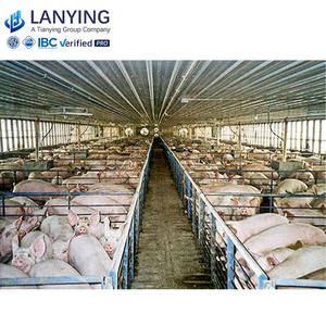 Struktur Baja Buatan China Digunakan di Kandang Ayam, Kandang Babi, dan Kandang Sapi - Product Image 6