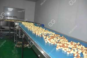 Ligne de production automatique de cupcakes Machine pour muffins/cupcakes - Product Image 3