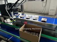 Máquina Robótica de Alta Calidad de 4 Ejes para Empacar Productos en Cajas, Brazo Robótico de Recogida y Colocación para Alimentos Congelados y Bolas de Metal