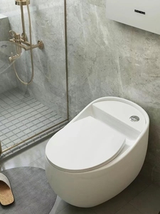 Lavabo sur pied en forme <span class=keywords><strong>d</strong></span>'œuf, <span class=keywords><strong>toilette</strong></span>, pour placard <span class=keywords><strong>d</strong></span>'<span class=keywords><strong>eau</strong></span>, à jet, mode - Product Image 6