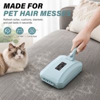 Brosse à tapis portative, dépoussiéreur pour poils d'animaux, rouleau anti-peluches pour canapé et lit, nettoyeur réutilisable en PP, vente en gros OEM pour la maison