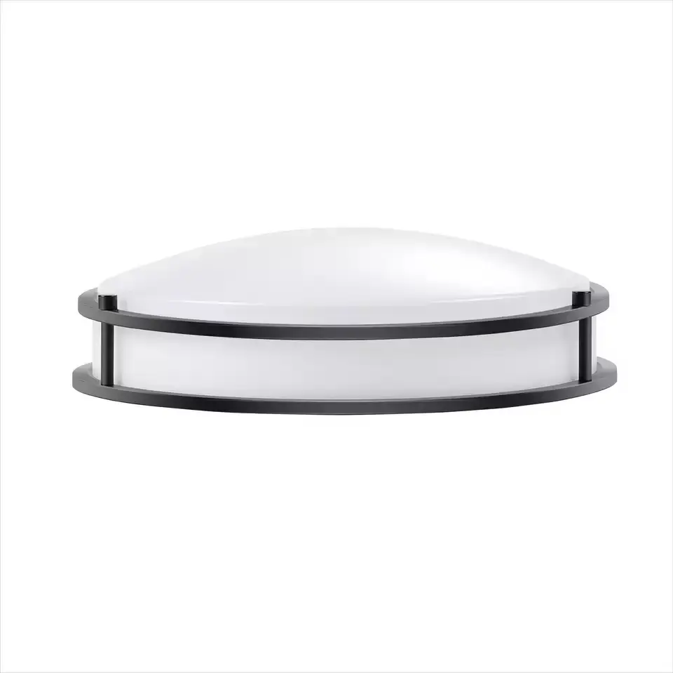 Smart ceiling light with no flicker and noise and remote control