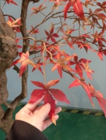 Arbre d'érable artificiel réaliste de 8,5 pieds, livraison rapide en 7 jours, décoration intérieure pour centre commercial, bureau, restaurant
