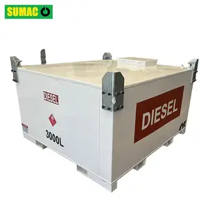 Skid Mounted Stainless Steel Inner Tank Bunded Double Wall Petrol Fuel Diesel Cube IBC Tank