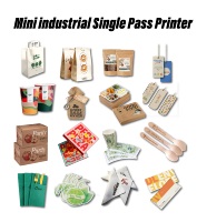 Impresora de Sobremesa Giftec de Una Sola Pasada, Todo en Uno, para Bolsas Doypack o Tipo Pouch, Ideal para Pequeñas Empresas