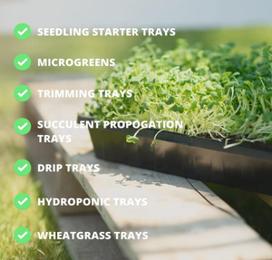 Vassoi <span class=keywords><strong>per</strong></span> Semina in Fibra di Vetro e Vetro Riutilizzabili, Durevoli ed Ecologici <span class=keywords><strong>per</strong></span> Giardinaggio Domestico, Germinazione di <span class=keywords><strong>Fiori</strong></span> e Verdure - Product Image 2