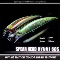 Subwater Minnow 9cm/12g Leurre Corps Blanc DIY Recolor ABS Matériel pour Océan Bateau Pêche Basse Truite Carpe Perche Vivaneau Marlin