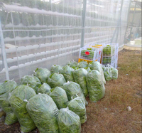 Système de culture hydroponique NFT à faible coût pour serre verticale, culture de légumes et de laitues, avec canaux en PVC
