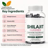 Gummies d'extrait de Shilajit sans sucre OEM, sans OGM, saveur baies mélangées, bonbons gélifiés diététiques en vrac