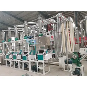 Máquina de molienda de trigo sarraceno, trituradora de harina de castaño, planta de procesamiento