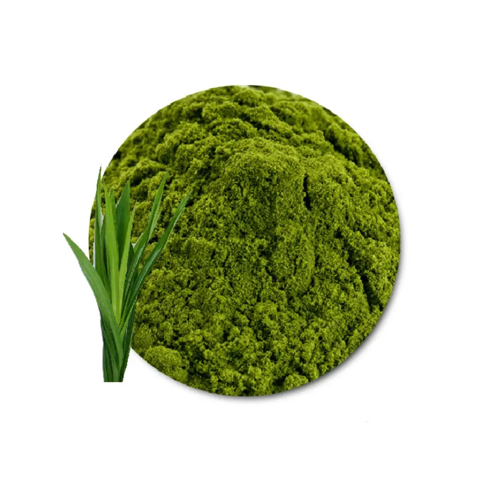 Freeze Dried Pandan Powder-High quality