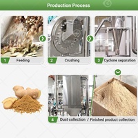 Mini Moulin Pulvérisateur Industriel pour Piments Secs, Fruits, Aliments, Henné, Oignon, Moringa, Farine de Riz et Sucre