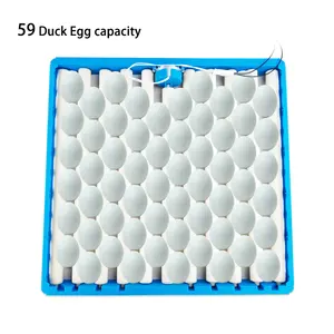 Bandeja automática para incubar huevos, máquina de precio en paquistaní, 70 bandejas